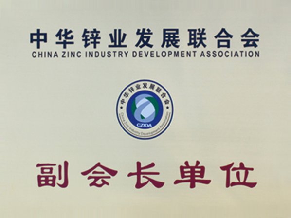 中华锌业发展联合会副会长单位